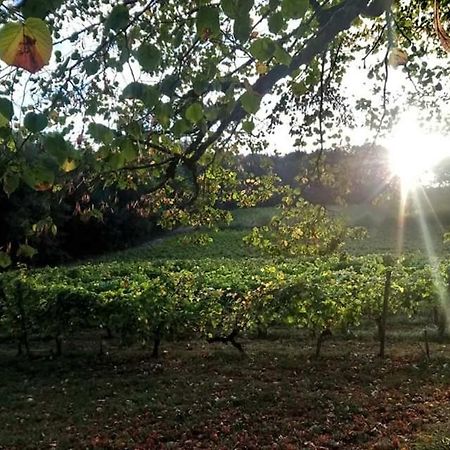 Chateau Regaldo-Saint Blancard Salleboeuf Екстериор снимка