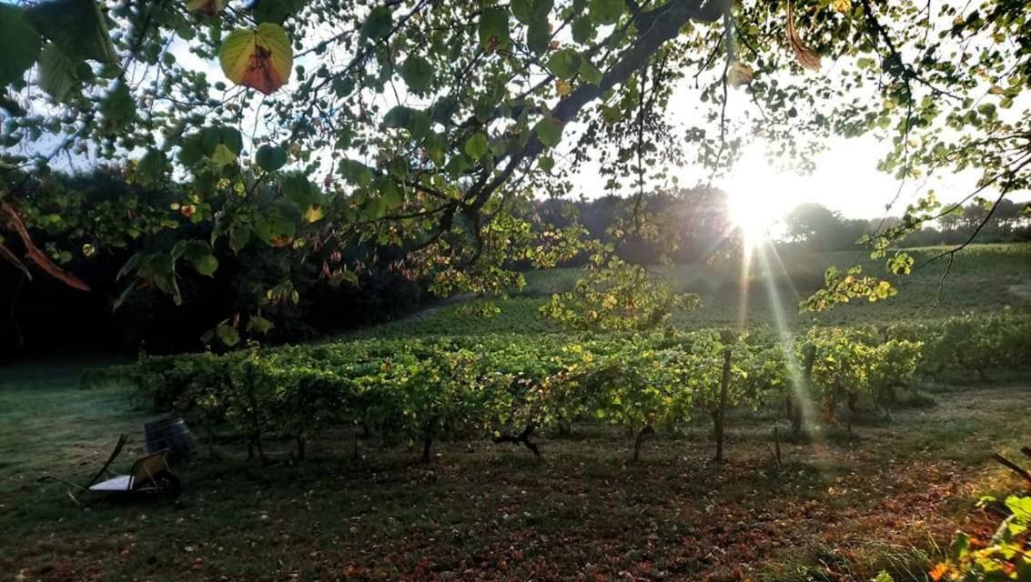 Chateau Regaldo-Saint Blancard Salleboeuf Екстериор снимка