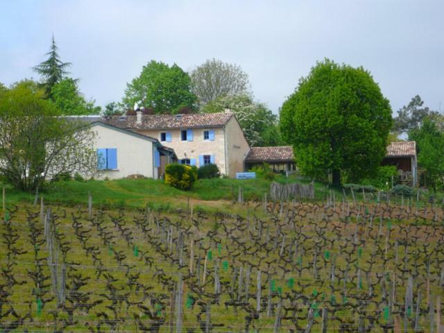 Chateau Regaldo-Saint Blancard Salleboeuf Екстериор снимка